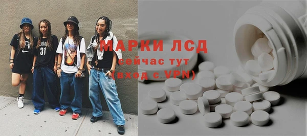 гашик Бородино