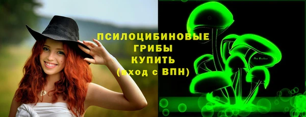 ПСИЛОЦИБИНОВЫЕ ГРИБЫ Бронницы