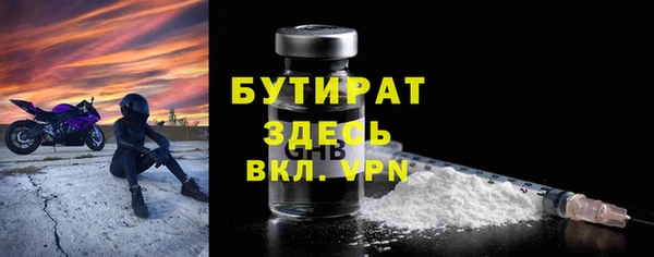 гашик Бородино