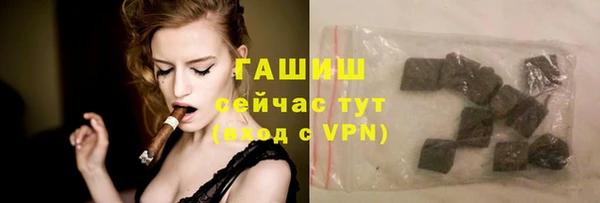 гашик Бородино