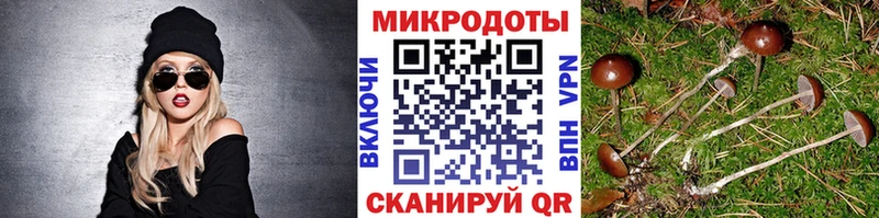 Галлюциногенные грибы мухоморы  дарнет шоп  OMG как войти  Нефтегорск 